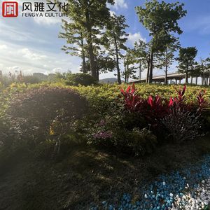 宝贝c我想摸你奶让我揉揉说说
